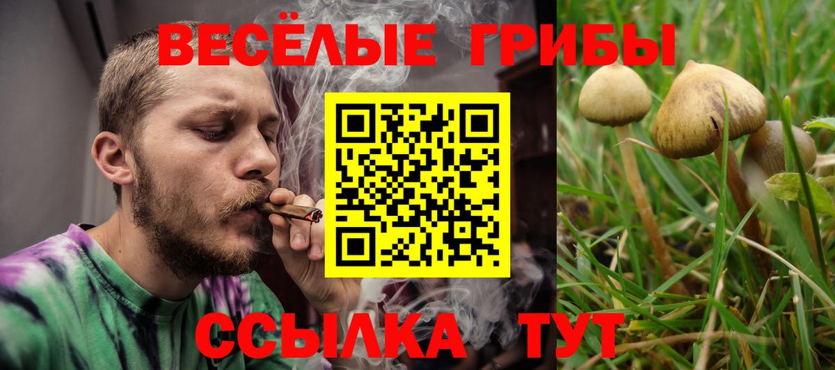 Галлюциногенные грибы прущие грибы  Вход с VPN  Галлюциногенные грибы Psilocybine cubensis  Усть-Илимск 